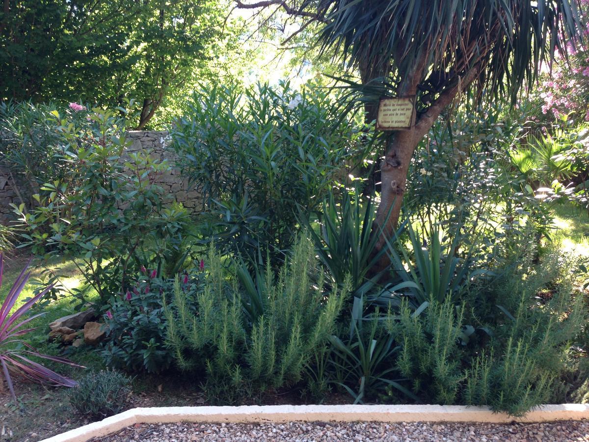 Meounes-les-Montrieux Auberge De Pachoquin מראה חיצוני תמונה