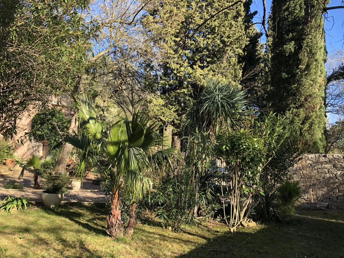 Meounes-les-Montrieux Auberge De Pachoquin מראה חיצוני תמונה